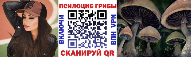 Галлюциногенные грибы Magic Shrooms  Сенгилей 
